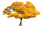 Epea2011